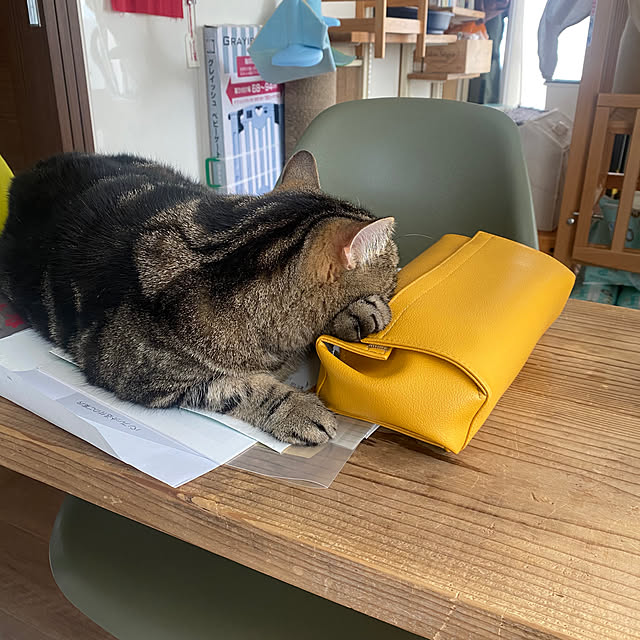 mikomaruさんの実例写真