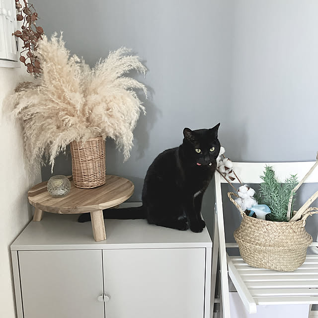 nekomiさんの部屋