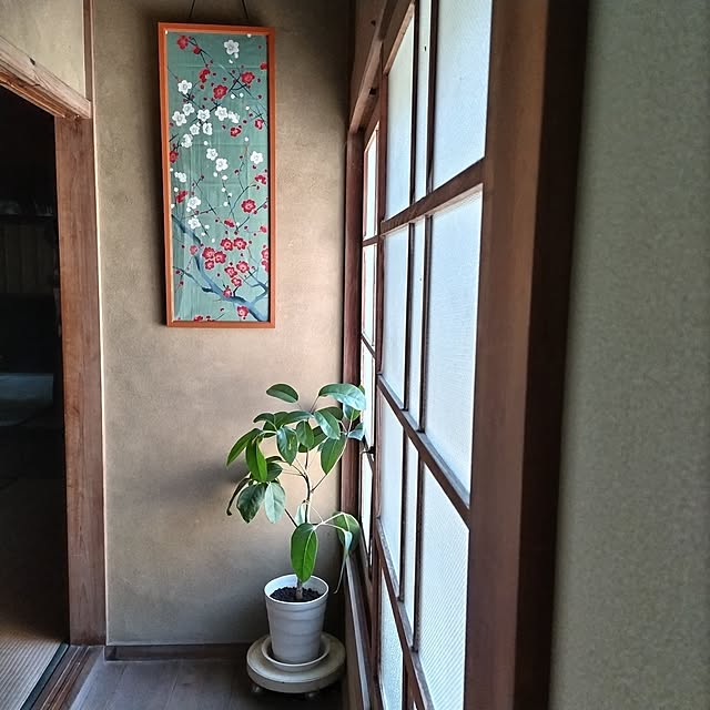 kuririnmamaさんの部屋