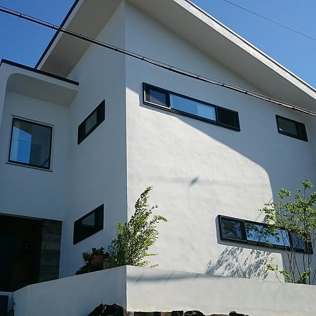 壁/天井/白い家/植栽/黒いドア/方流れのインテリア実例 - 2017-06-03 12:37:31