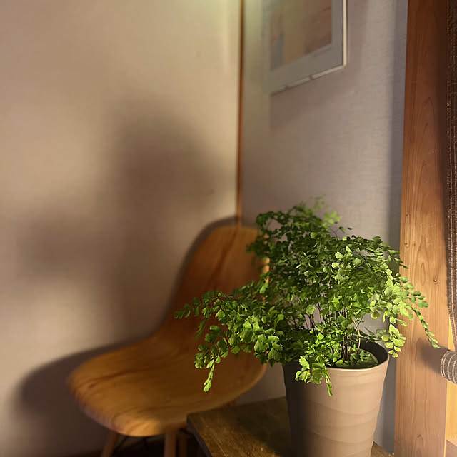 rookuさんの部屋