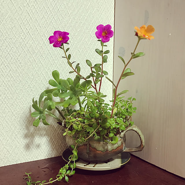 fuyiqian1026さんの実例写真