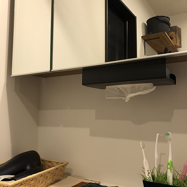吊り下げ/ダイソー/ティッシュケース/バス/トイレのインテリア実例 - 2022-01-14 22:04:50