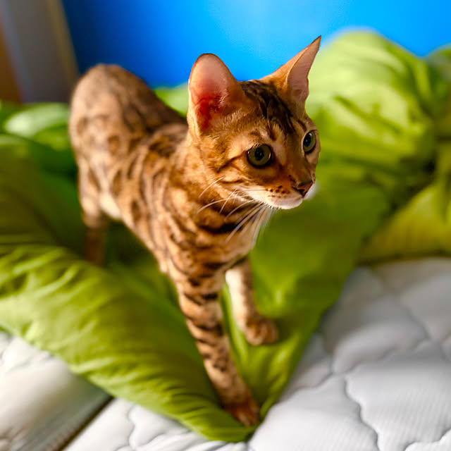 tututu0204さんの部屋