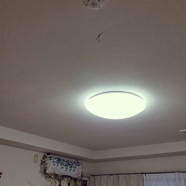 shiinaさんの実例写真