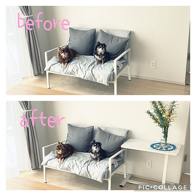 Mikiさんの実例写真