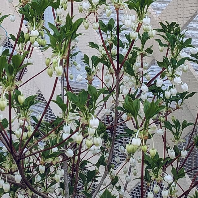 Bienvenueさんの実例写真