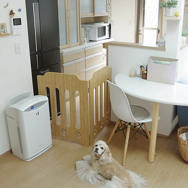 Shooowkoさんの実例写真