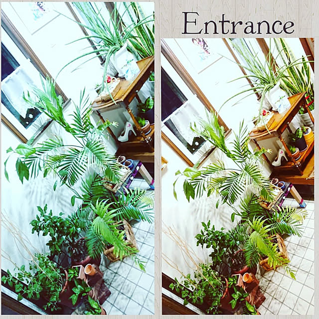 Erinaさんの実例写真