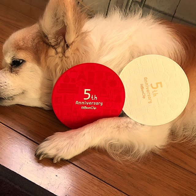 seroriさんの実例写真