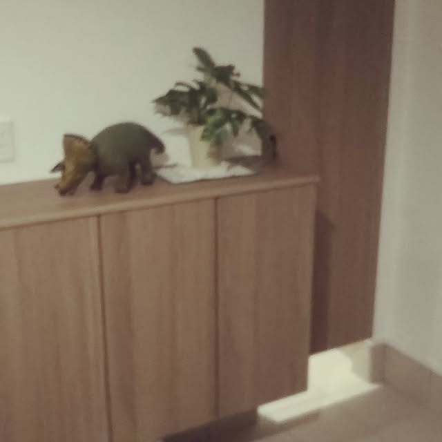 yucchiさんの実例写真