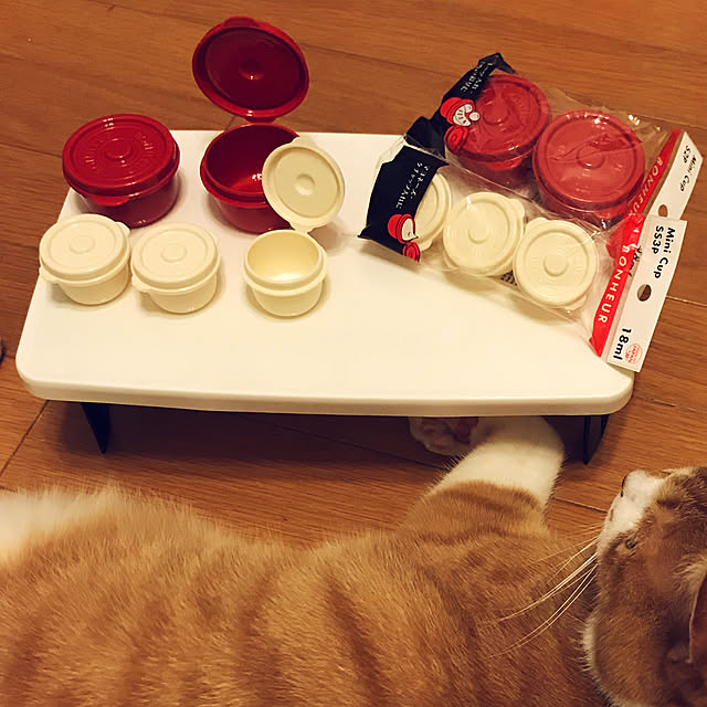 lavie0125さんの実例写真