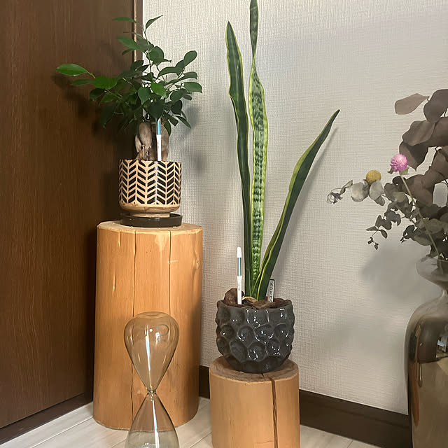 ansamさんの実例写真