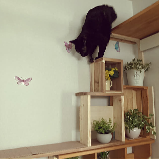 chakuron.iさんの実例写真