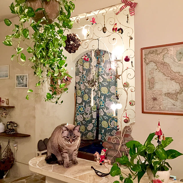 rosemaryさんの実例写真