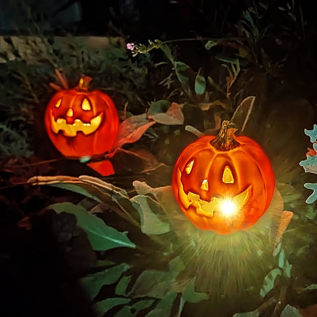 gamakeroさんの部屋