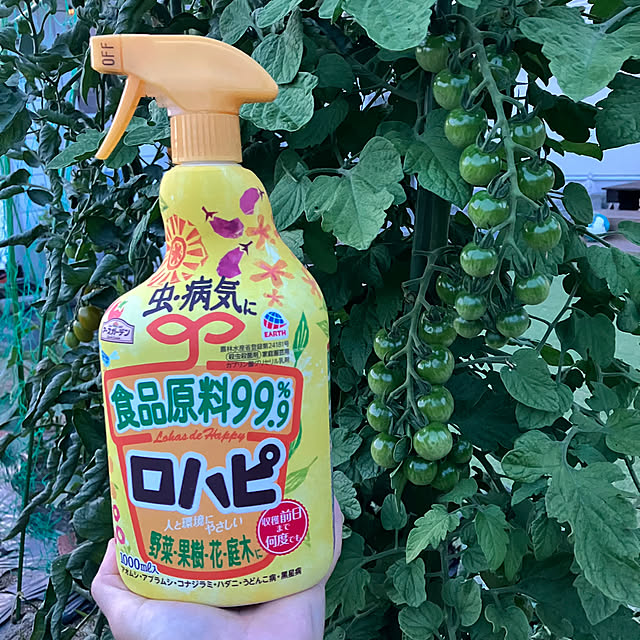 tommさんの実例写真