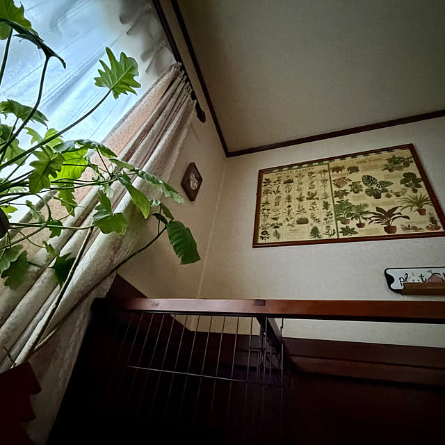 cotaさんの部屋