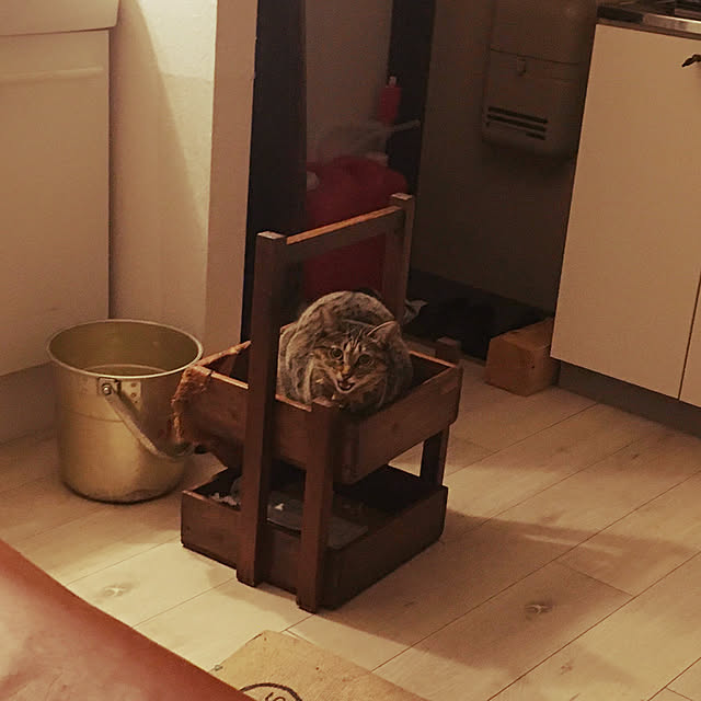Mさんの実例写真