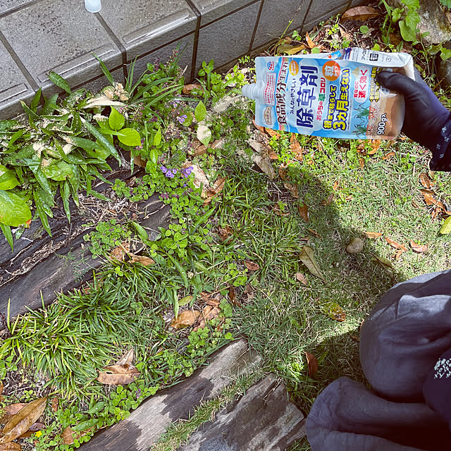 burubonさんの実例写真