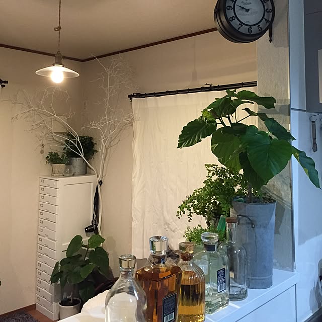 087さんの実例写真