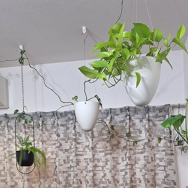 Riokaさんの実例写真