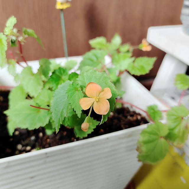 kiraさんの部屋