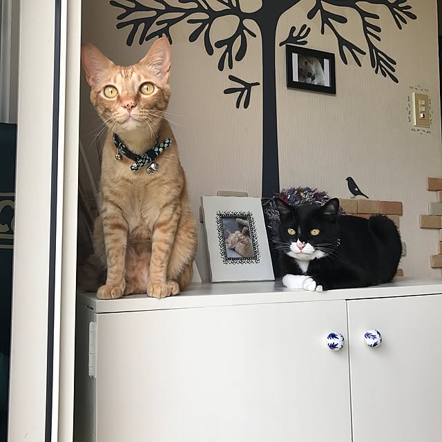 mtkさんの実例写真