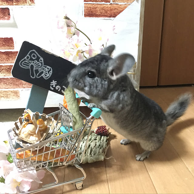 bambiさんの実例写真