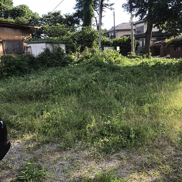 okyosan101さんの実例写真