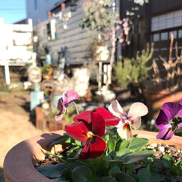 実例写真