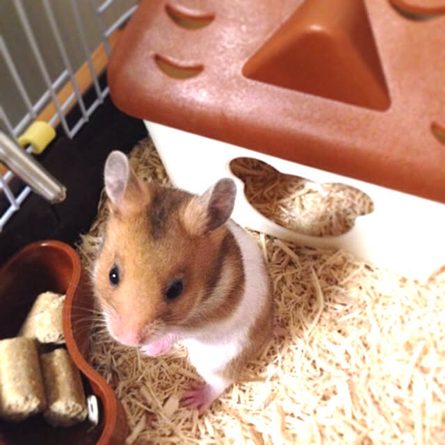 yukiさんの実例写真