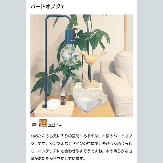 tan5さんの実例写真