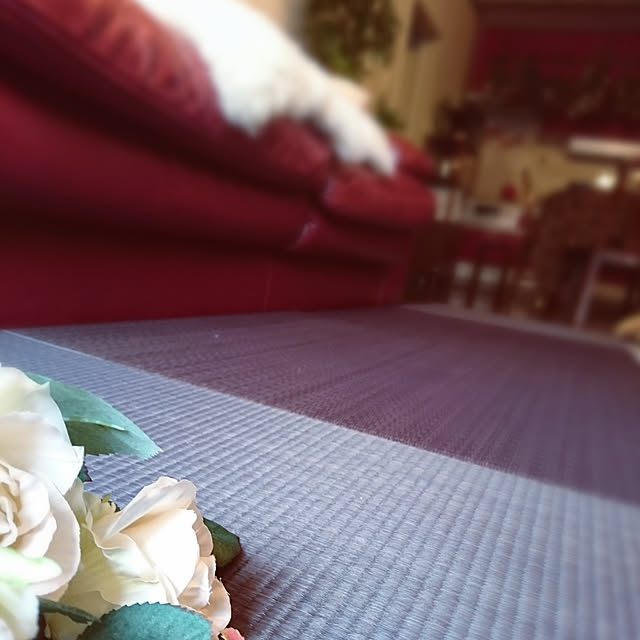 Natashyaさんの実例写真