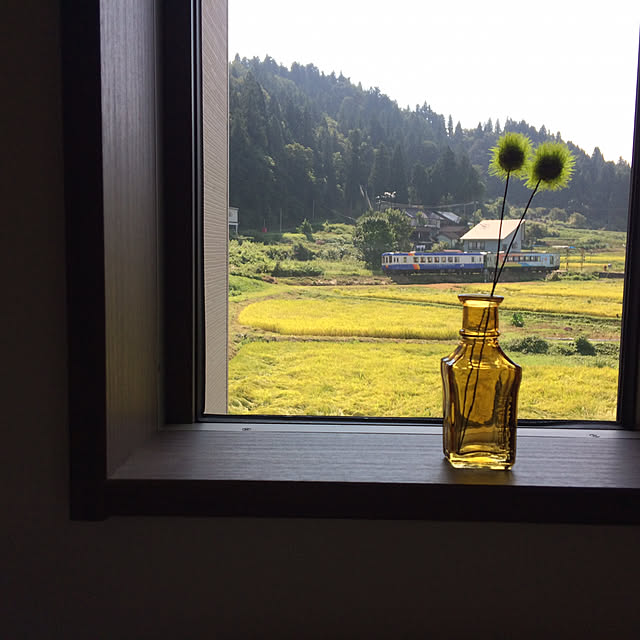 miriさんの実例写真