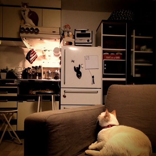 bobooooonさんの実例写真