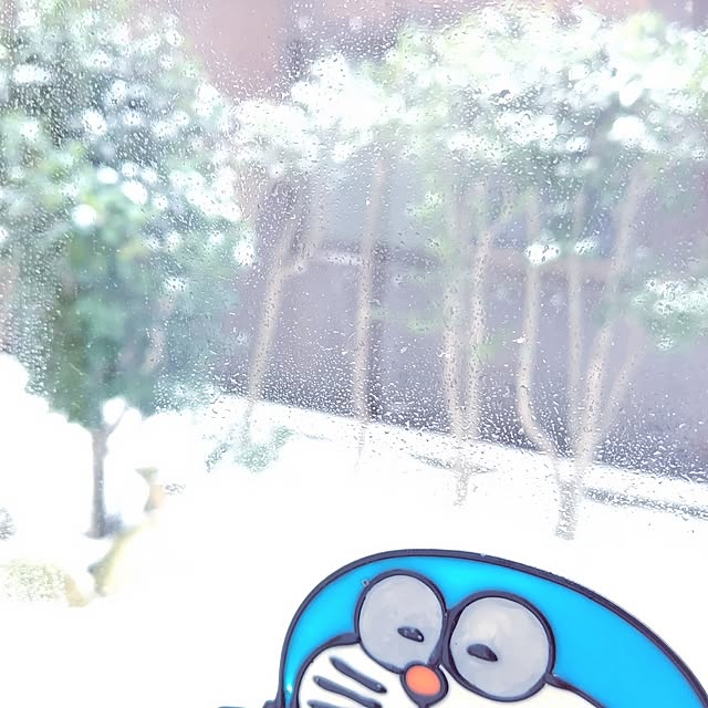 katさんの実例写真
