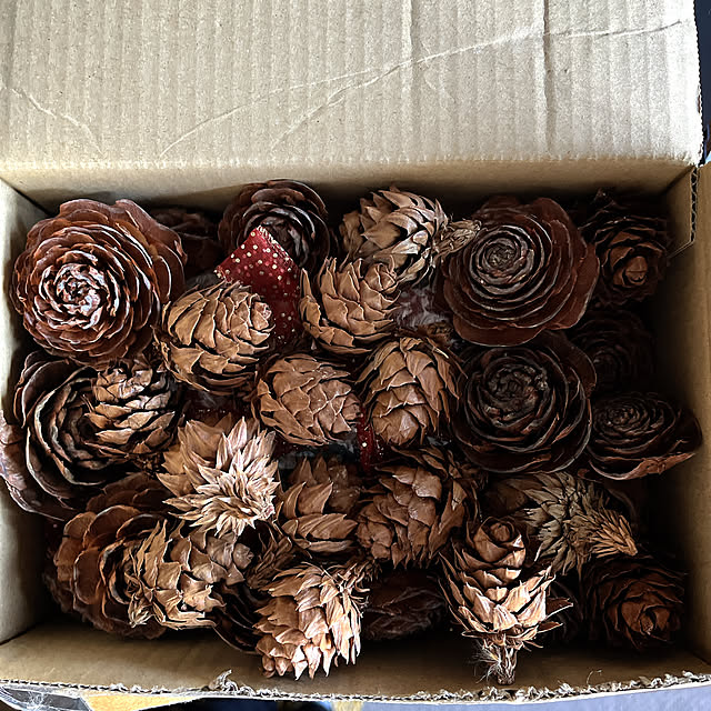 eshinobumさんの部屋