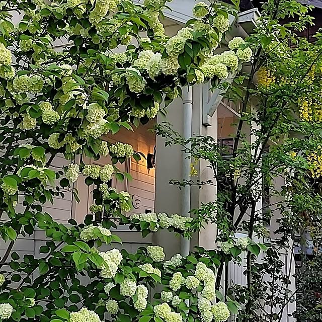 tulipさんの実例写真