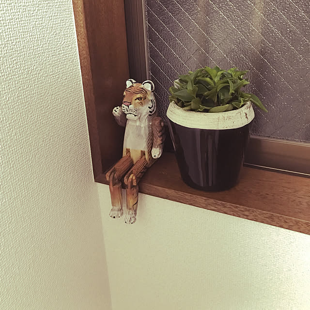 amutantanさんの実例写真
