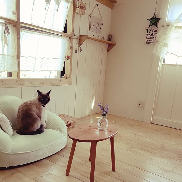 mintcatさんの実例写真