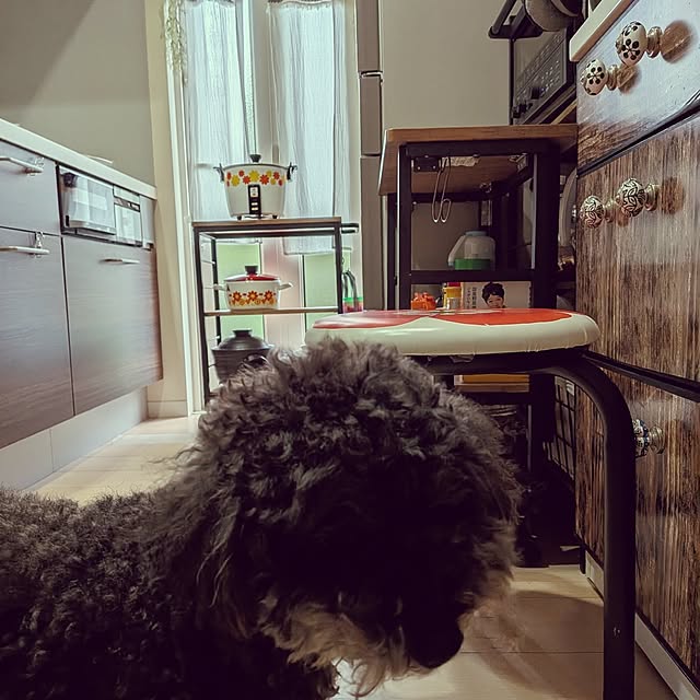 umeboshicyanさんの部屋