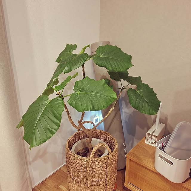 otokiさんの部屋