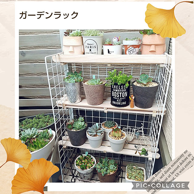 meiさんの実例写真