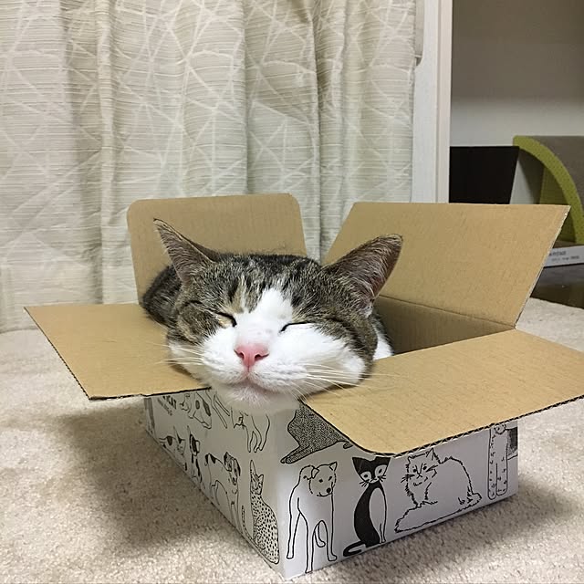 etsuさんの実例写真