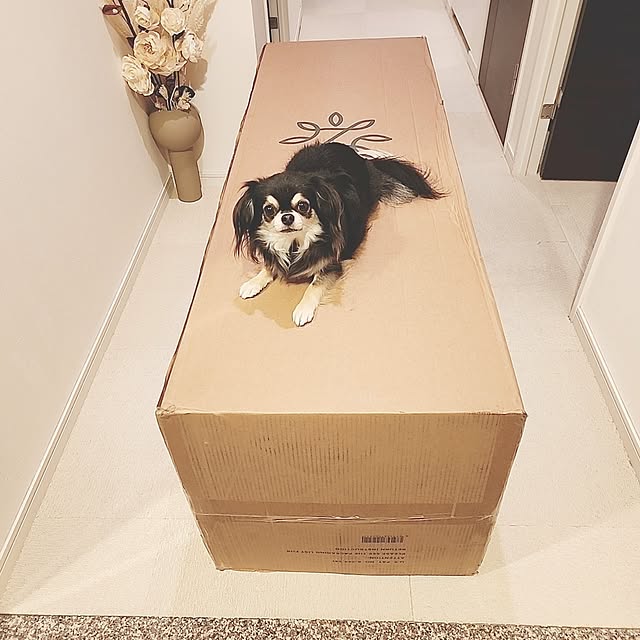yumegu8さんの部屋