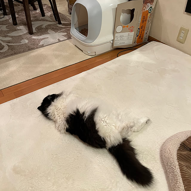 reonさんの部屋