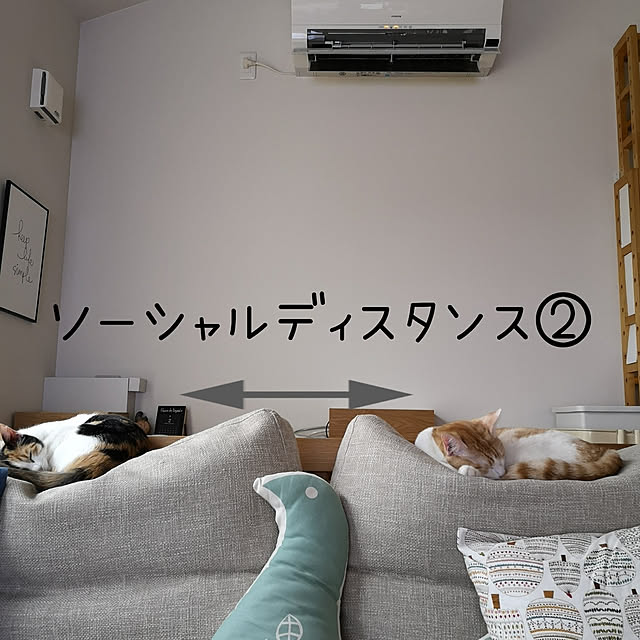 koyurizuさんの実例写真