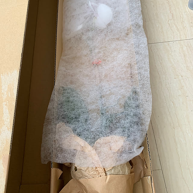 eshinobumさんの部屋