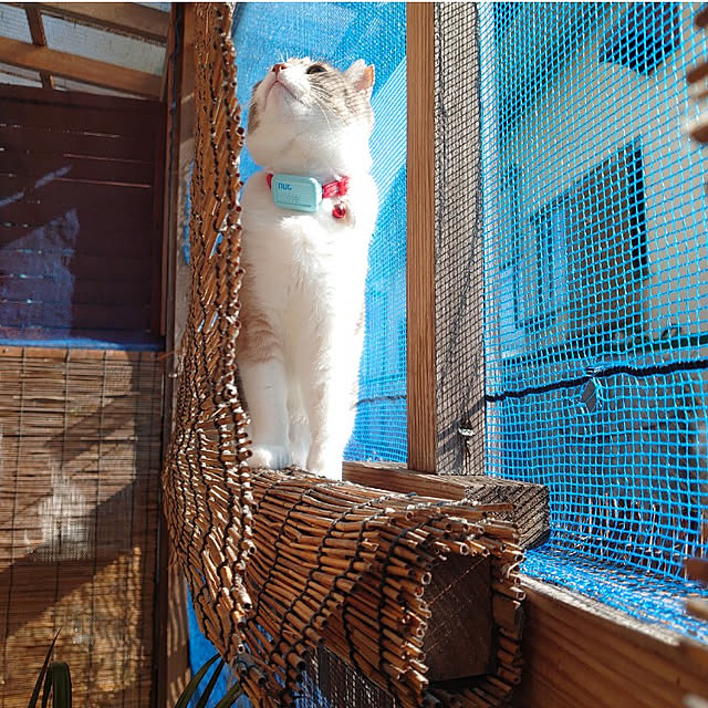 fukuさんの実例写真